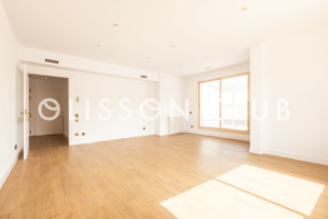 apartment for rent in recoletos madrid